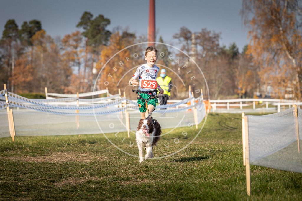 CaniXpix_0L8A8857 | Hundefotografie, Tierfotograf, Pfotenfotografie, Fotoshooting Hund, Hunde Portrait, Hundesport, Hundeportraits, Heideshooting, Hunde, Sportfotograf, Hundefotograf, Turnierhundsport, THS,  - Realisiert mit Pictrs.com