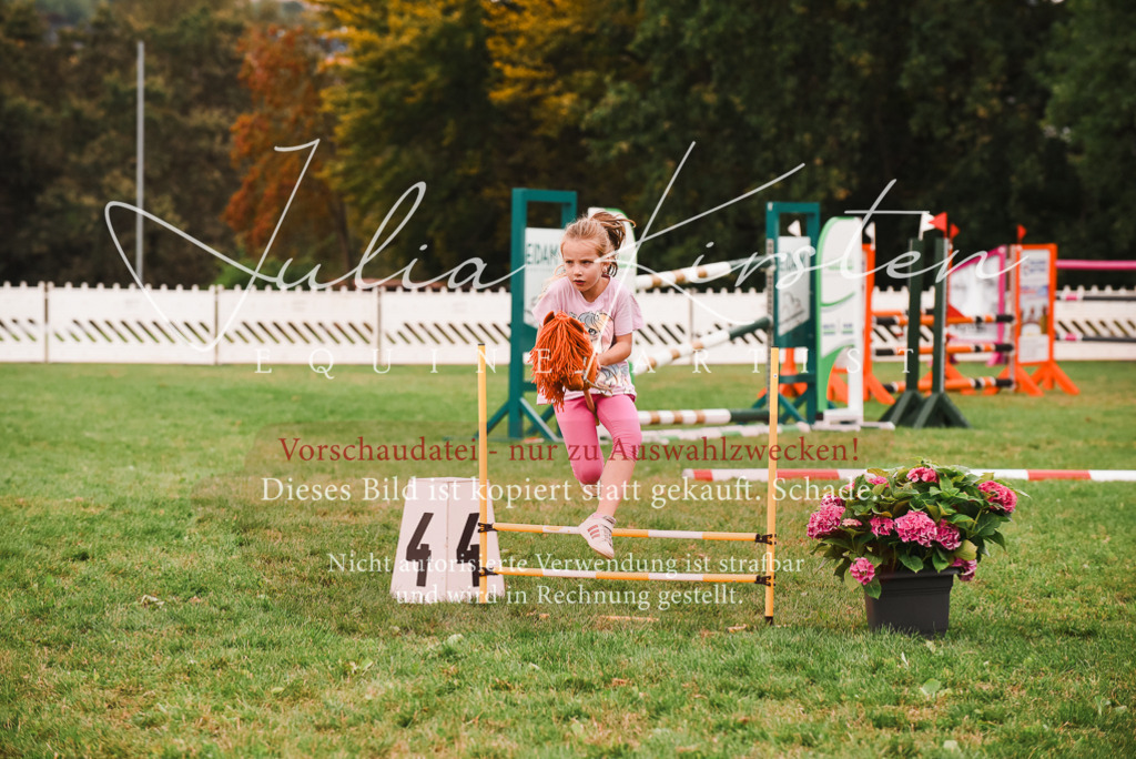 DSC_4537 | Pferde- und Turnierfotografie in Westsachsen. Pferdeportraits, Auftragszeichnungen und intuitive Kunst.