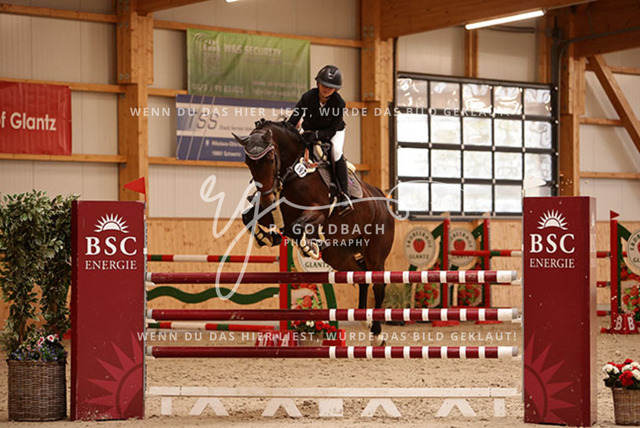 1J2A7254Fiby Sosna_ D_Amour du Foret Z_ Kn197_ Glantz_ Hohen Wieschendorf | Foto- und Videografie für alles rund ums Pferd. Hochwertige Bilder und Videos vom Spring- und Dressurreiten, Voltigieren & mehr. Jetzt aktuelle Veranstaltungen und Preise im Shop ansehen. - Realisiert mit Pictrs.com