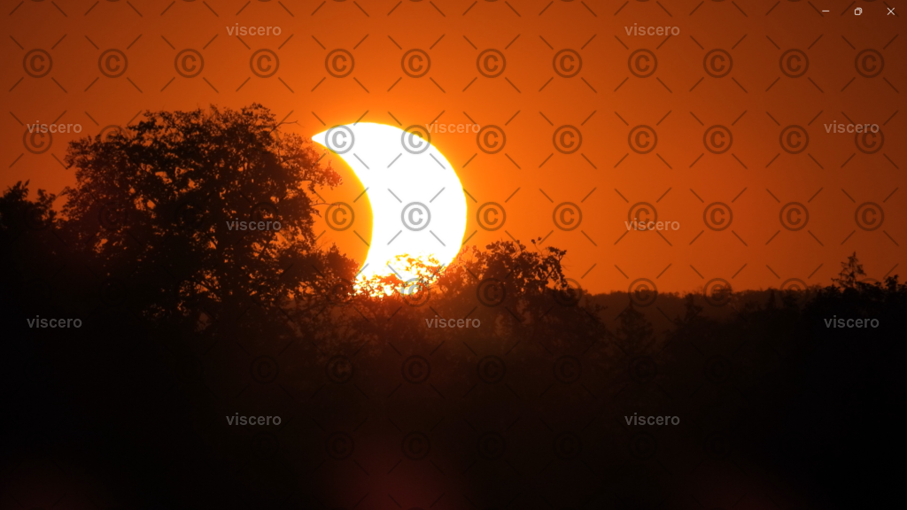 Screenshot 2026-08-13 235550 - Kopiert (2) | viscero