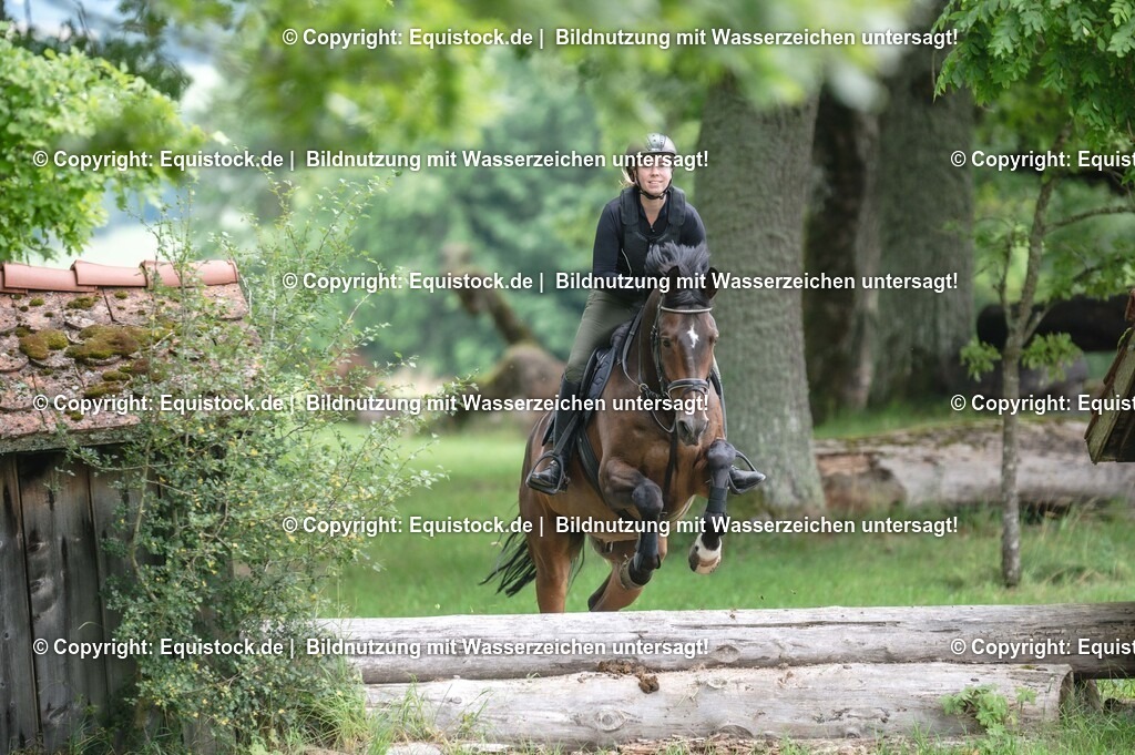 20250726_Vielseitigkeitslehrgang-Marbach_0741 | Foto: Thomas Hartig