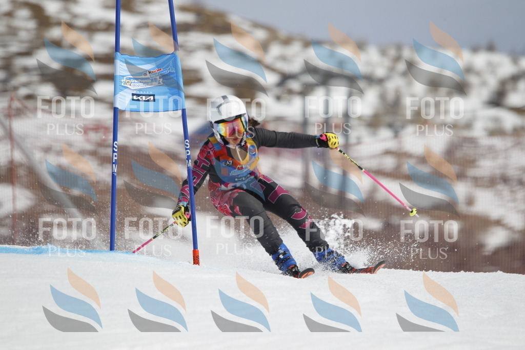 _U3G1453 | holidayphoto