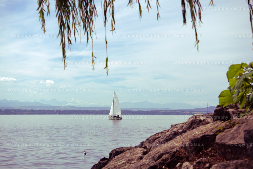 Segeln auf dem Neuenburgersee | Willkommen im Shop von Photography Sascha Staub. Hier findest du alle Fotos und Medieninhalten von Sascha Staub. In diesem Shop kannst du Lizenzen zu den Fotos, Drucke und Gutscheine für den Shop erwerben.  - Realisiert mit Pictrs.com