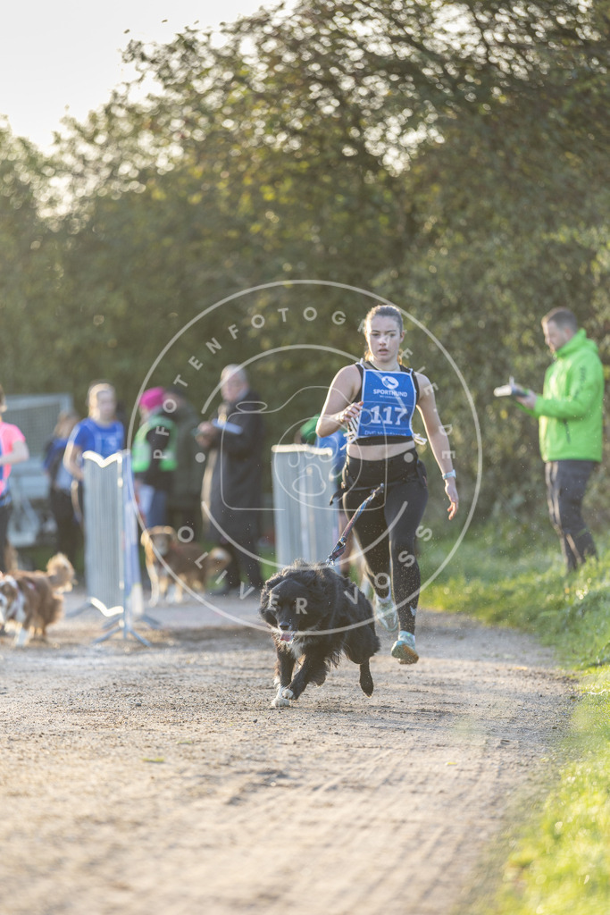 Pfotenfotografie.de_DV3A2467 | Hundefotografie, Tierfotograf, Pfotenfotografie, Fotoshooting Hund, Hunde Portrait, Hundesport, Hundeportraits, Heideshooting, Hunde, Sportfotograf, Hundefotograf, Turnierhundsport, THS, canicross - Realisiert mit Pictrs.com