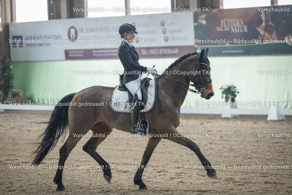 _D5A4342 | Emotionale Pferde- & People-Fotografie rund um Heidelberg, Leimen & Umgebung. Natürliche Fotos von Pferd, Mensch & Familie. Jetzt Termin sichern!