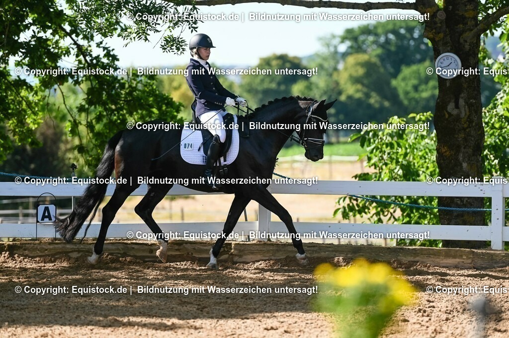 20230715_06_Dressurpferdeprfg. Kl.A_0245 | equistock