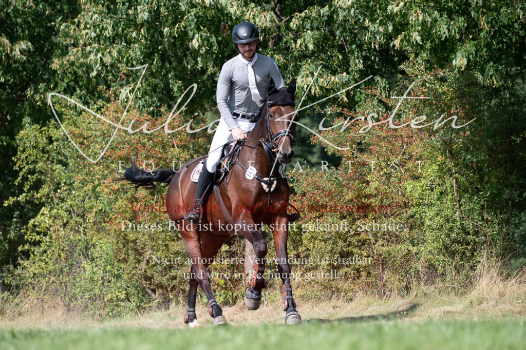 DSC_0926 | Pferde- und Turnierfotografie in Westsachsen. Pferdeportraits, Auftragszeichnungen und intuitive Kunst.