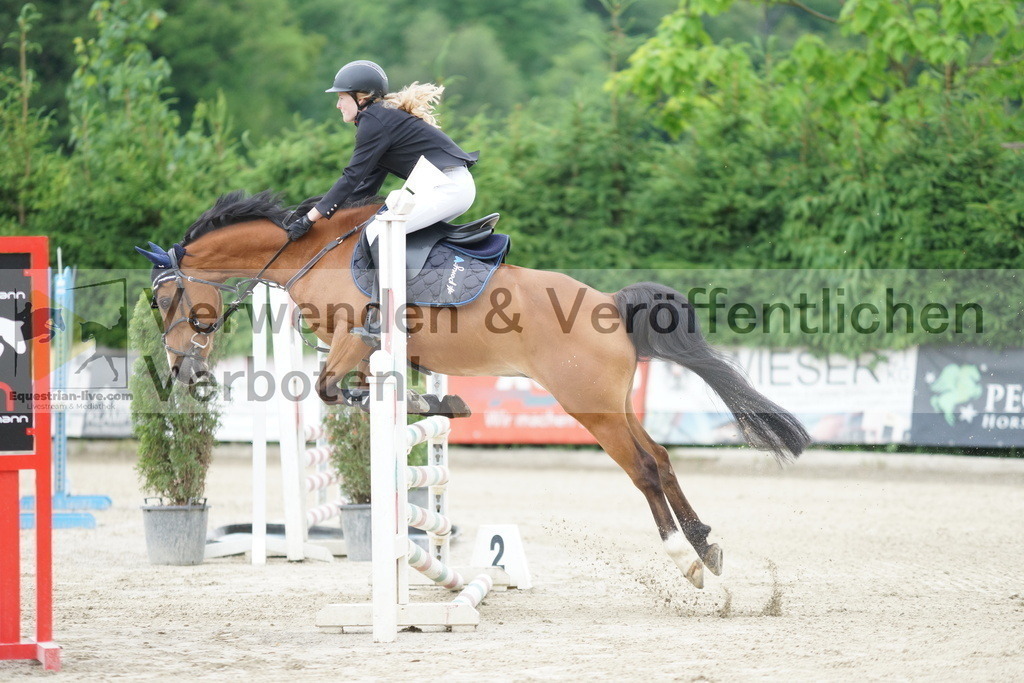 DSC07600 | equestrian-live-com