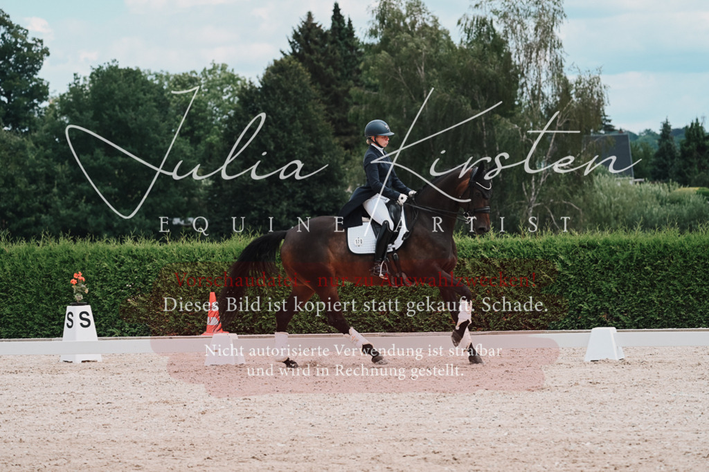 DSC_4422 | Pferde- und Turnierfotografie in Westsachsen. Pferdeportraits, Auftragszeichnungen und intuitive Kunst.