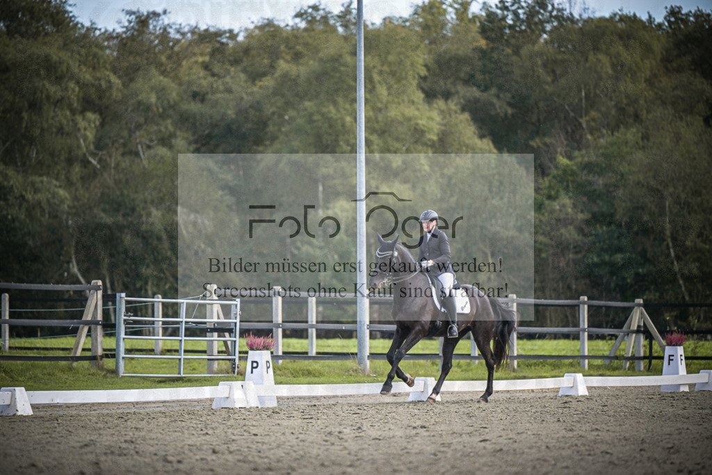 DOS_0814 | Entdecke hochwertige Reitturnierfotos von Foto Oger. Professionell, emotional und authentisch – jetzt Lieblingsmomente im Shop bestellen.Deutschlandweite Turnierfotografie. - Realisiert mit Pictrs.com