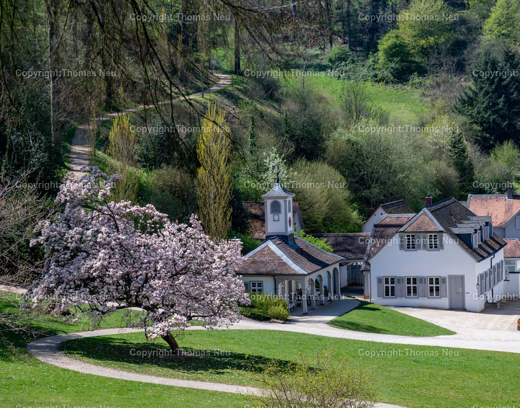 Fuerstenlager-magnolienbluete-bensheim-auerbach-staatspark-parklandschaft-sommersitz-hessische-Fuerstenfamile-Fotografie-Thomas_Neu.jpg-22 | Blick über das historische Gebäudeensemble im Staatspark Fürstenlager in Bensheim-Auerbach, eingebettet in die frühlingshafte Landschaft der Bergstraße. Blühende Magnolien und frisches Grün rahmen die klassizistischen Gebäude, während sich im Hintergrund die bewaldeten Hänge des Odenwaldrandes erheben. Der ehemalige Sommersitz der Landgrafen von Hessen-Darmstadt zeigt sich hier in seiner ganzen landschaftlichen und architektonischen Schönheit.,Bild: Thomas Neu