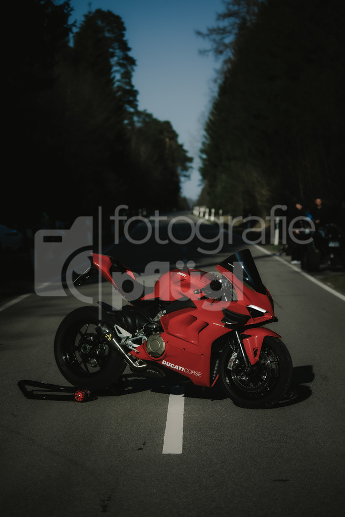 001A4487 | fotografie-pfluegl - Realisiert mit Pictrs.com