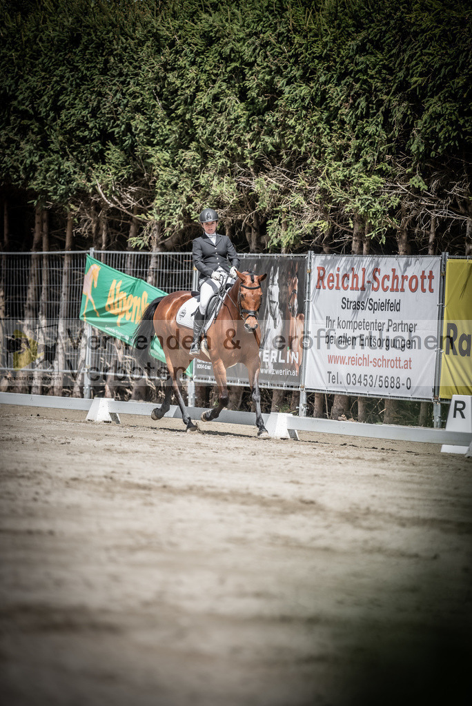 DSC_2351 | equestrian-live-com