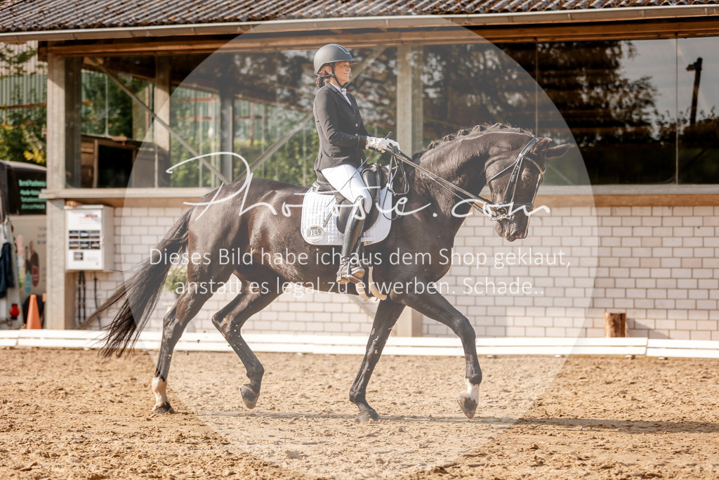 3I6A3014 | Stimmungsvolle Portraits und Reitsportfotografie im Ruhrgebiet und im Münsterland.

Pferdefotografie, Hundefotografie, Tierfotografie, Reportagen, Portraits von Tier und Mensch, Turnierfotografie in Bochum, Recklinghausen, Marl, Haltern am See, Dülmen.. - Realisiert mit Pictrs.com