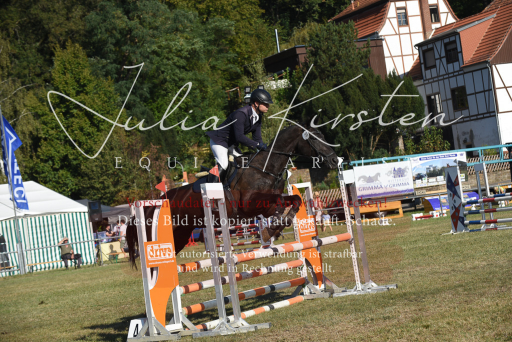 DSC_5345 | Pferde- und Turnierfotografie in Westsachsen. Pferdeportraits, Auftragszeichnungen und intuitive Kunst.