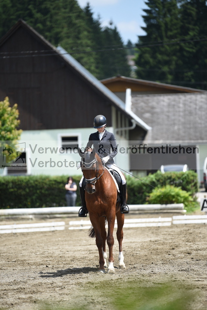 DSC_9495 | equestrian-live-com