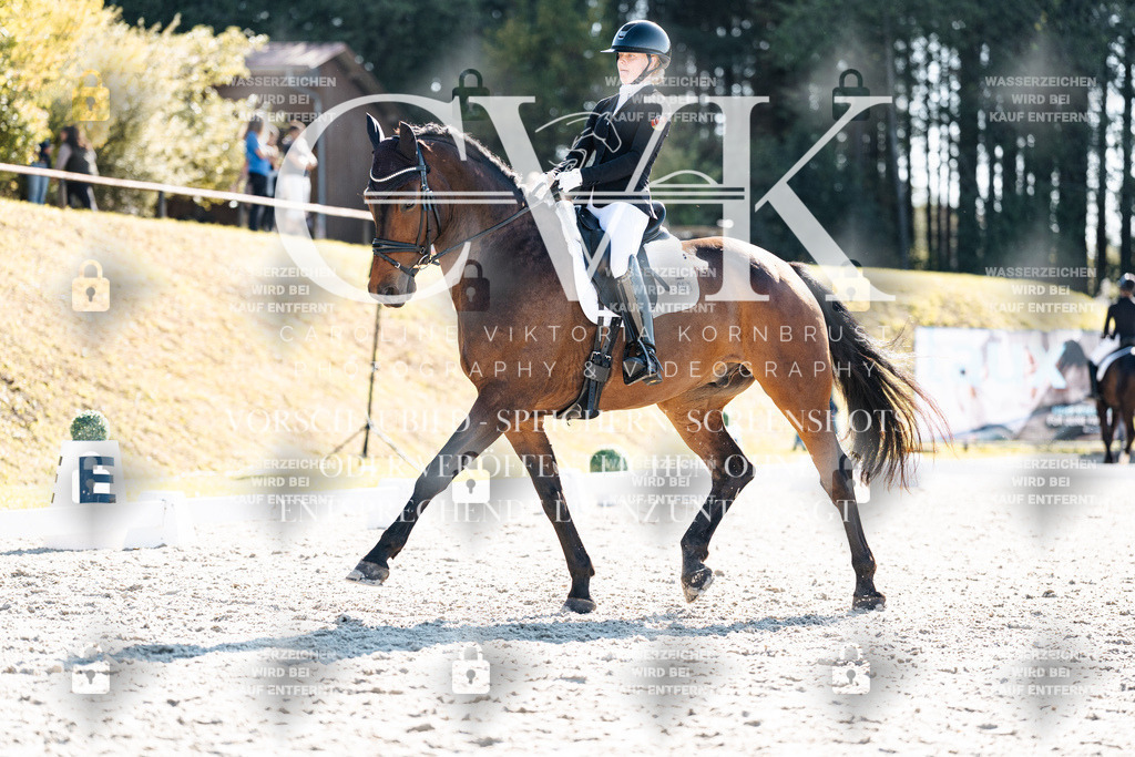 CK905706 | Turnierfotografie Pferdefotografie Trier Rheinland-Pfalz Pferdesport Reitsport Tierfotografie Sportfotografie Pferdevideo Pferdevideografie Equestrianvideography equestrianphotography  - Realisiert mit Pictrs.com