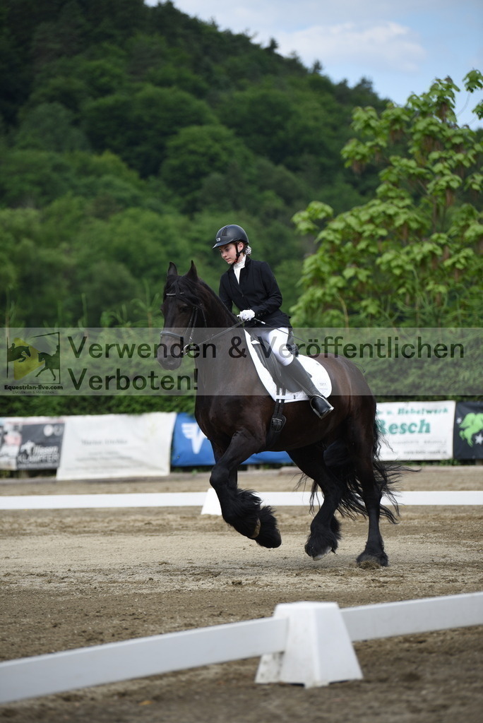 DSC_8477 | equestrian-live-com