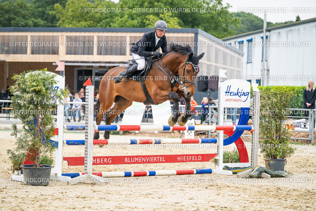 DSC00309 | Pferdegrafie