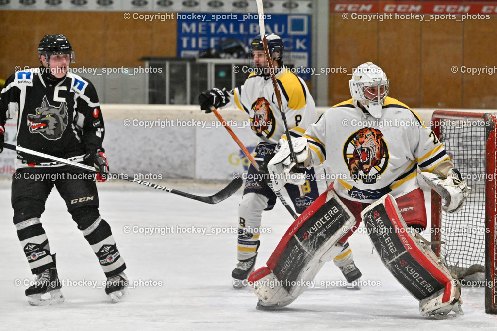 EC Tigers Paternion vs. Tarco Wölfe II | #8 Ortner Sandro EC Tigers Paternion, #8 Konrad Simon Tarco Wölfe II, #21 Lesacher Jürgen EC Tigers Paternion, EC Tigers Paternion vs. Tarco Wölfe II, EC Tigers Paternion vs. Tarco Wölfe II am 19.12.2024 in Spittal an der Drau (Eissportzentrum Spittal), Austria, (Photo by Bernd Stefan)