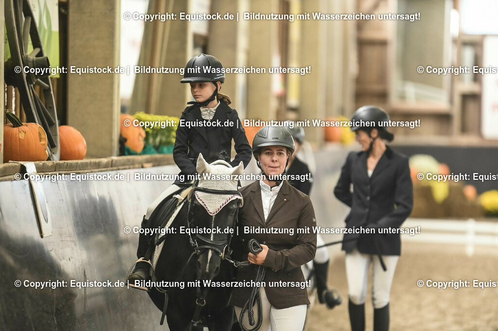 20231029_Führzügel-WB_Abteilung-02_0010 | Foto: Thomas Hartig