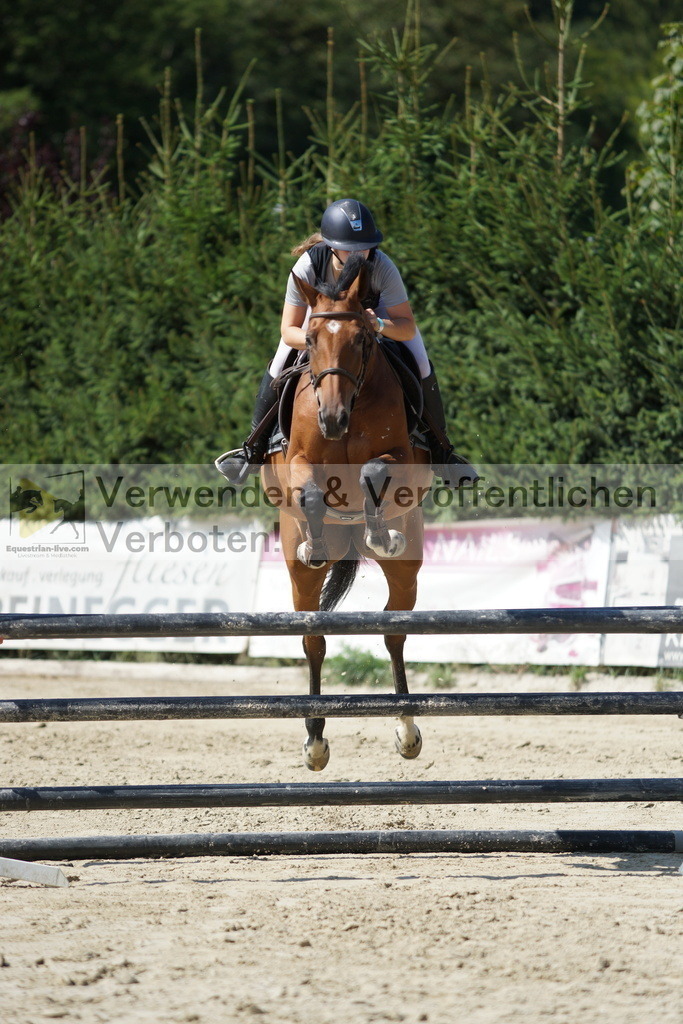 DSC01376 | equestrian-live-com