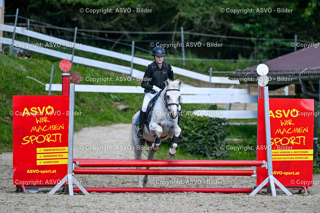 ASVÖ_ Reiten Bezirksmeisterschaft_ 24.08.2025-88 | 24.08.2025, AUT, ASVÖ, Reiten Bezirksmeisterschaft 2025Dressur und Springreiten©fodo.media / Harald Dostal - Realisiert mit Pictrs.com