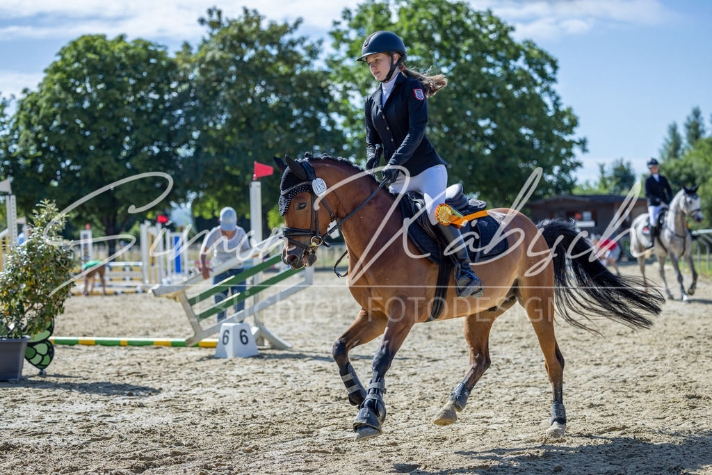 20260704-_3LI7444 | Tierfotografie Pferde, Hunde, Katzen, Haustiere.
Turnierfotografie Reitturniere, Reiten, Springreiten, Dressur in Hanau, dem Main-Kinzig-Kreis und dem Rhein-Main- Gebiet um Frankfurt