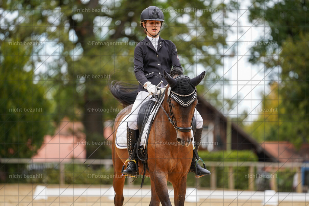 20231007-SN_00585 | Diessen am Ammersee, 2023, Dressur- und Springturnier, Reitsport, Turnierfotografie, Pferdebilder, Reitbilder, Turnierfotografen Bayern, Fotoagentur Herrmann