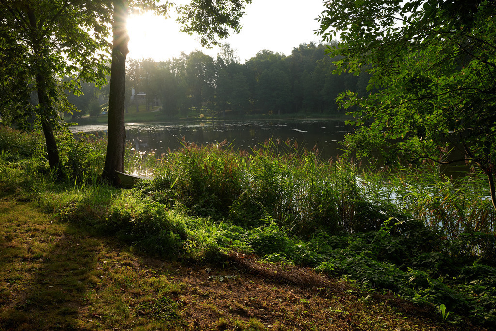 Impressionen am Puhajarve See | Otepää , Estland - August 23, 2022: Ruderboot im Schilf liegend. - Realisiert mit Pictrs.com
