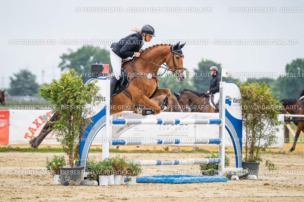 DSC02614 | Pferdegrafie