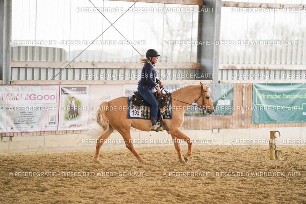 DSC06427 | Pferdegrafie