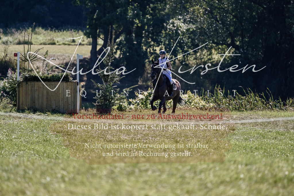 DSC_1719 | Pferde- und Turnierfotografie in Westsachsen. Pferdeportraits, Auftragszeichnungen und intuitive Kunst.