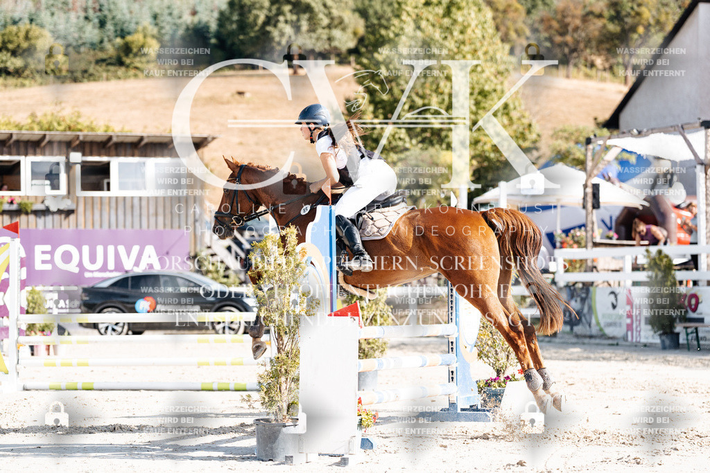 CK909355 | Turnierfotografie Pferdefotografie Trier Rheinland-Pfalz Pferdesport Reitsport Tierfotografie Sportfotografie Pferdevideo Pferdevideografie Equestrianvideography equestrianphotography  - Realisiert mit Pictrs.com