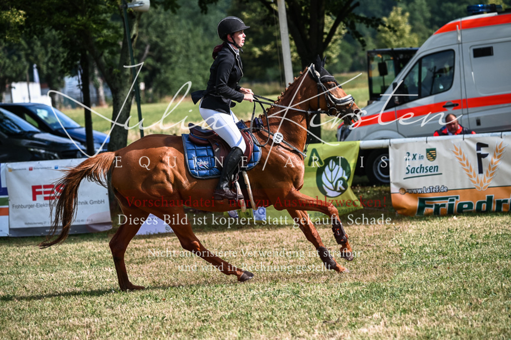 DSC_7823 | Pferde- und Turnierfotografie in Westsachsen. Pferdeportraits, Auftragszeichnungen und intuitive Kunst.