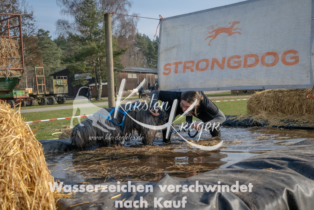 _ZZ92575 | kk-dogfotos