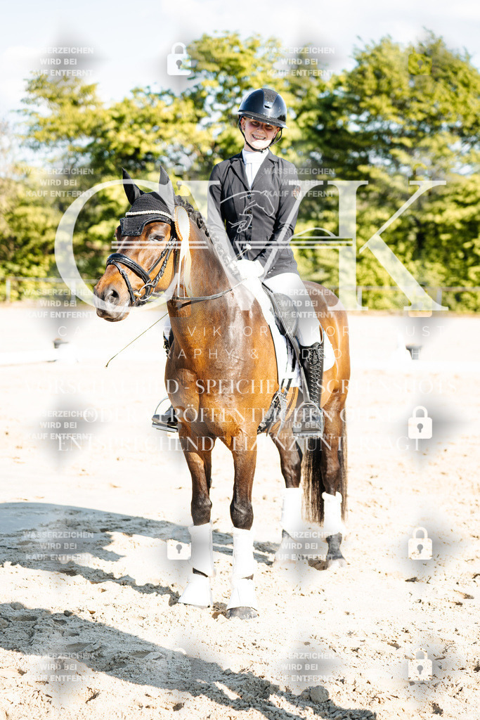 CK703574 | Turnierfotografie Pferdefotografie Trier Rheinland-Pfalz Pferdesport Reitsport Tierfotografie Sportfotografie Pferdevideo Pferdevideografie Equestrianvideography equestrianphotography  - Realisiert mit Pictrs.com