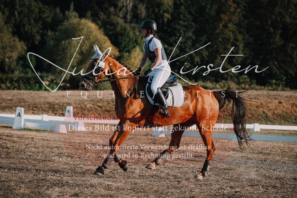 DSC_9232 | Pferde- und Turnierfotografie in Westsachsen. Pferdeportraits, Auftragszeichnungen und intuitive Kunst.