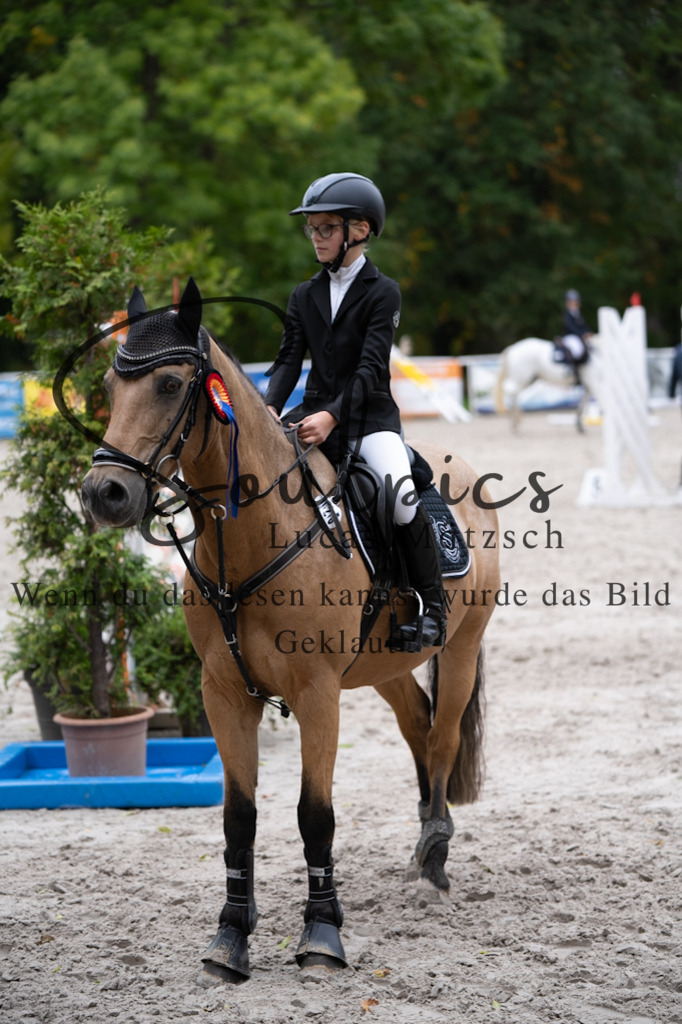 A7V08315 | Pferdefotograf