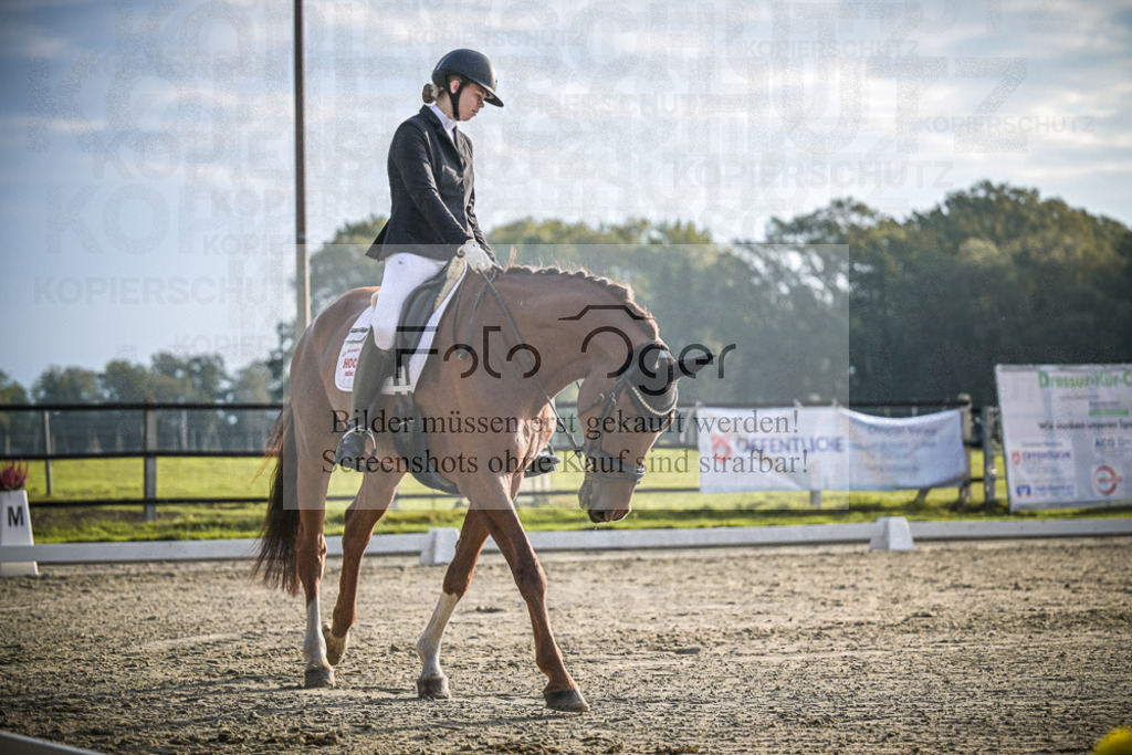 DOS_3426 | Entdecke hochwertige Reitturnierfotos von Foto Oger. Professionell, emotional und authentisch – jetzt Lieblingsmomente im Shop bestellen.Deutschlandweite Turnierfotografie. - Realisiert mit Pictrs.com