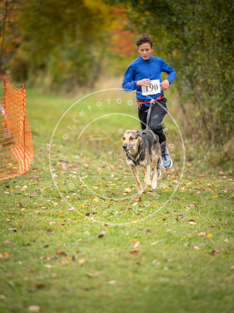Pfotenfotografie_DV3A3581 | Hundefotografie, Tierfotograf, Pfotenfotografie, Fotoshooting Hund, Hunde Portrait, Hundesport, Hundeportraits, Heideshooting, Hunde, Sportfotograf, Hundefotograf, Turnierhundsport, THS,  - Realisiert mit Pictrs.com