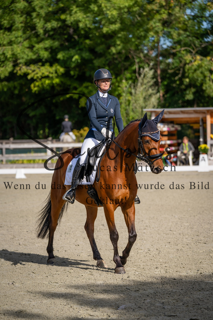 A7V06867 | Pferdefotograf