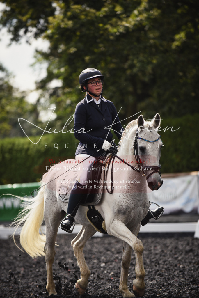 DSC_3901 | Pferde- und Turnierfotografie in Westsachsen. Pferdeportraits, Auftragszeichnungen und intuitive Kunst.