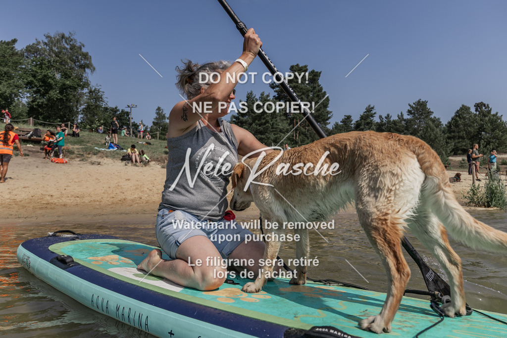 BUHU_SUP_464 | nelerasche