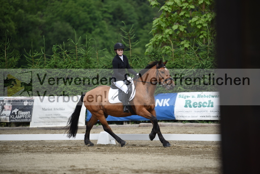 DSC_8306 | equestrian-live-com