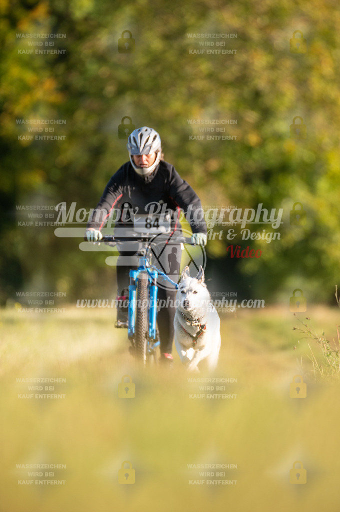 CDLBDB_15_10_2023_Dimanche-199 | PayLife