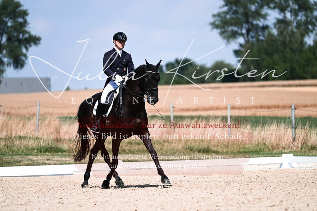 DSC_2990 | Pferde- und Turnierfotografie in Westsachsen. Pferdeportraits, Auftragszeichnungen und intuitive Kunst.