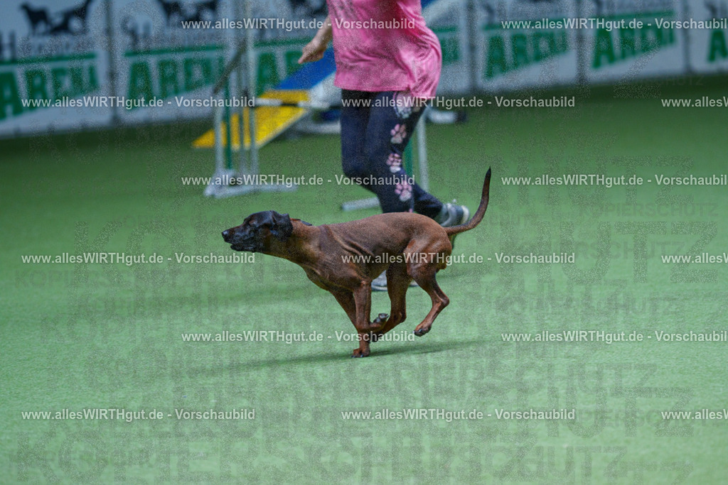 @allesWIRTHgut_Tierfotografie - www.allesWIRTHgut.de - 2604251236-7R502196 | Professionelle Tierfotografie in Mönchengladbach von Daniel Wirth (allesWIRTHgut). Liebevolle & natürliche Bilder von Hunden & Katzen für unvergessliche Erinnerungen.
