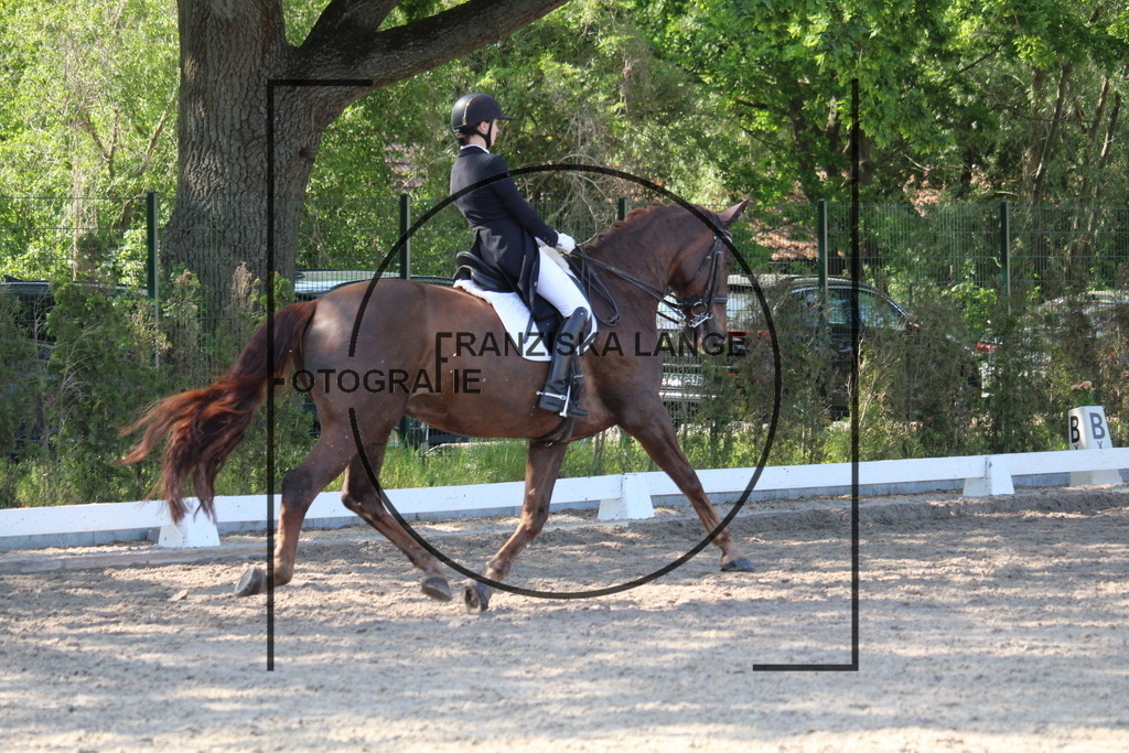 IMG_5514 | franziskalange - Realisiert mit Pictrs.com