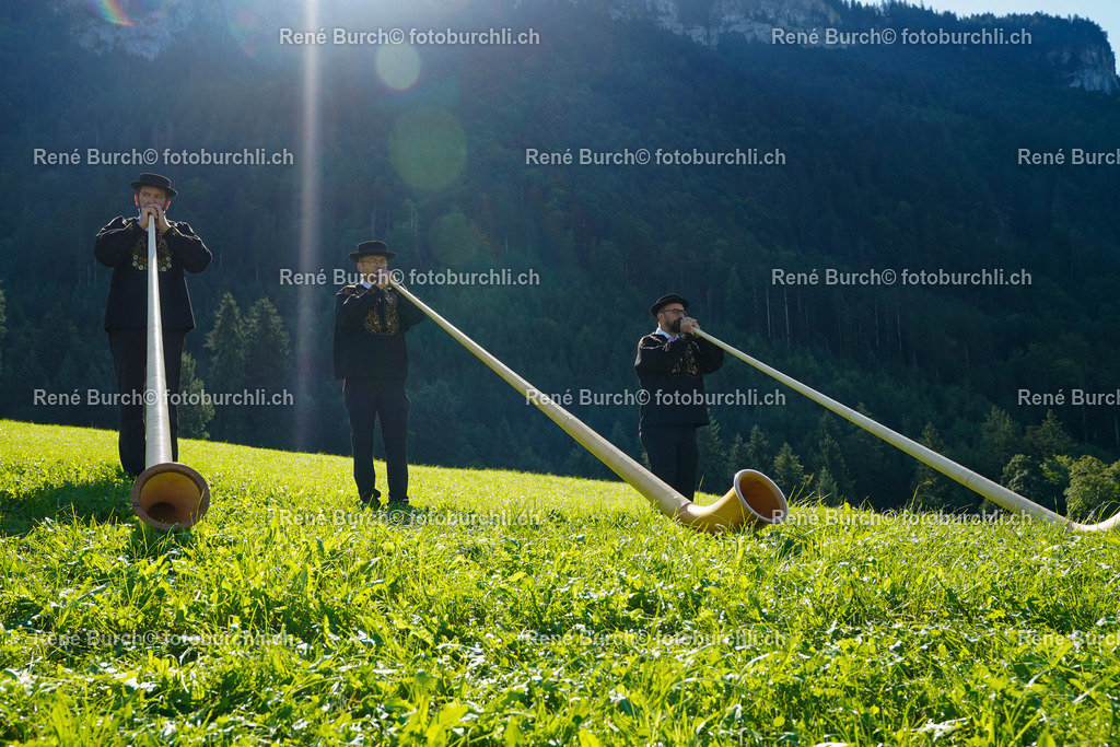 DSC01179 | René Burch leidenschaftlicher Fotograf aus Kerns in Obwalden.  Hier finden sie Sport, Landschaft und Natur Fotografie.
 - Realisiert mit Pictrs.com